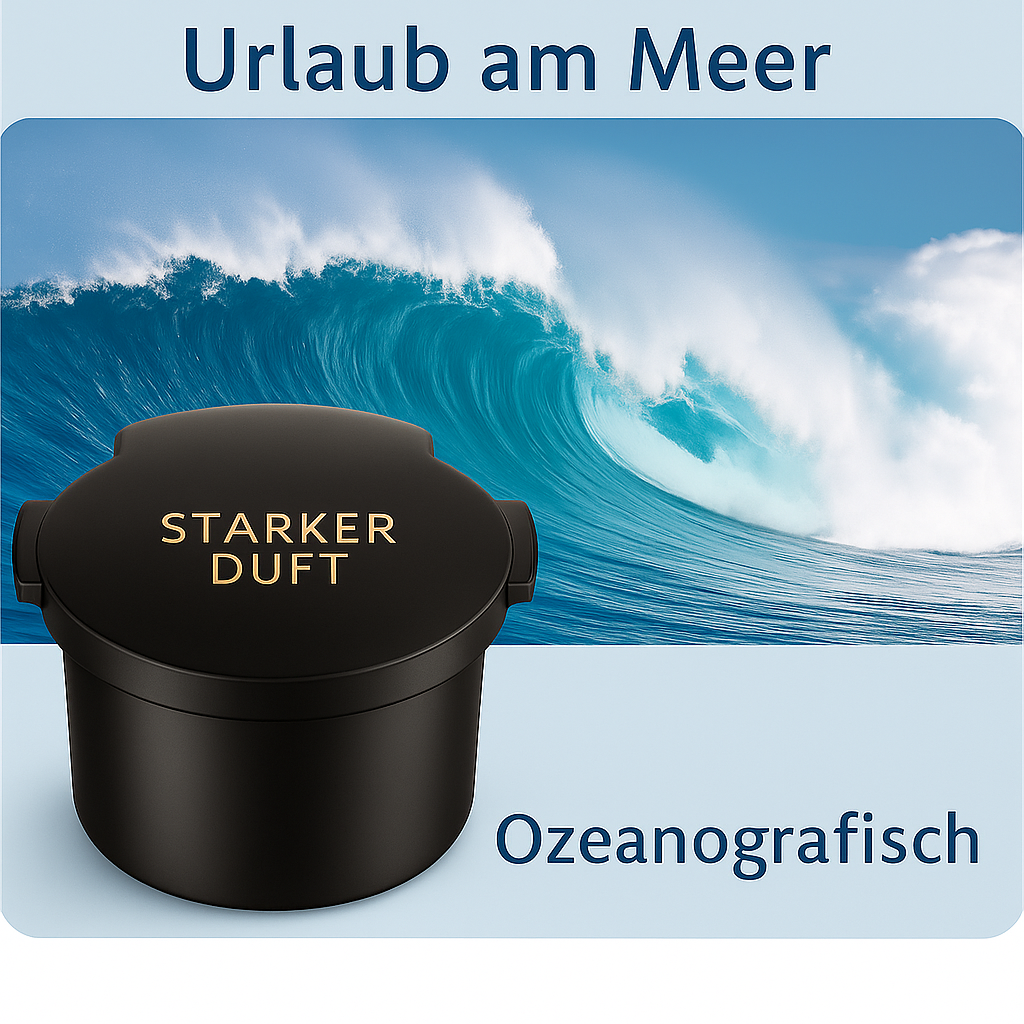 BreezeNest-Diffusor fürs Auto
